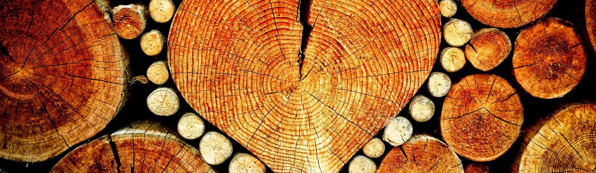 Holz Embacher Baumholder Brennholz Massivholzmöbel