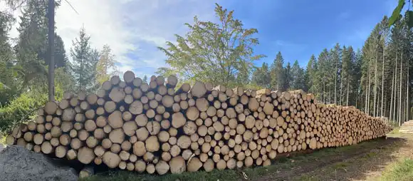 Forstbetrieb Embacher – Waldarbeit, Holzernte & Baumpflege